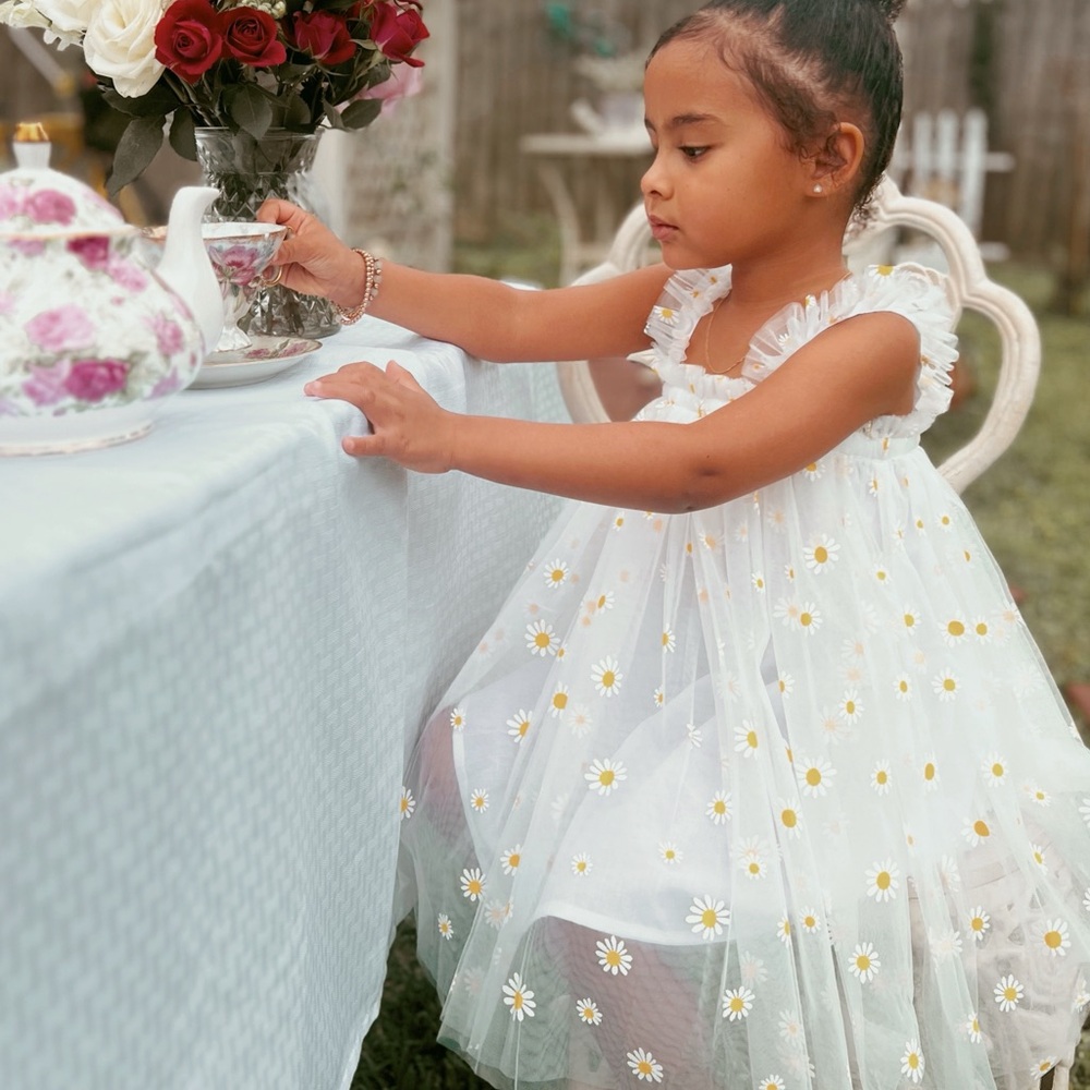 Charming Daisy Embroidered Dress